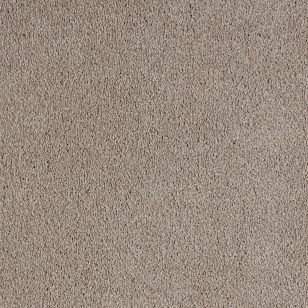 8 in. x 8 in. Texture Carpet Sample - Still In Love I -Color Romance price history on PriceWatchPro