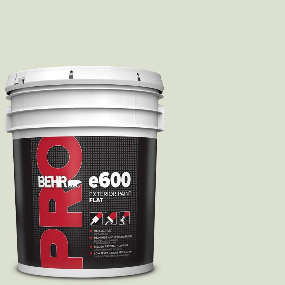 5 Gal. #PPL-47 Sage Tint Flat Exterior Paint price history on PriceWatchPro