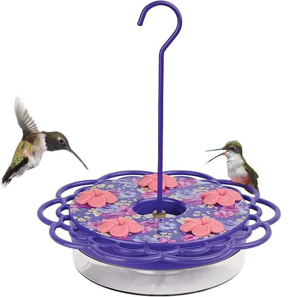 Petunia Passion Plastic Decorative Dish Hummingbird Feeder 13 oz