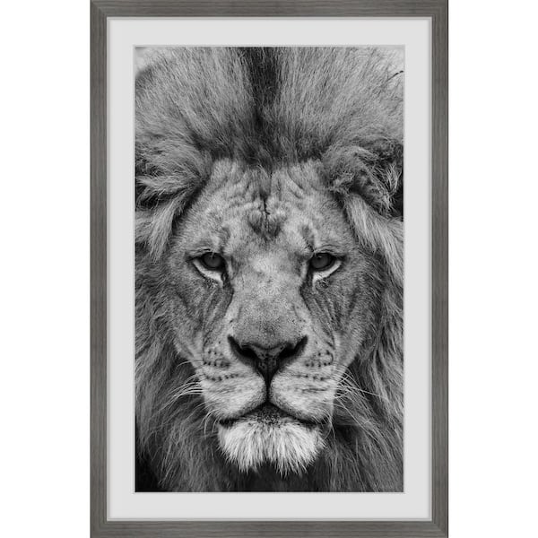 Make a Move by Marmont Hill Framed Animal Art Print 18 in. x 12 in.  EXOANI-24GWFP18 - The Home Depot