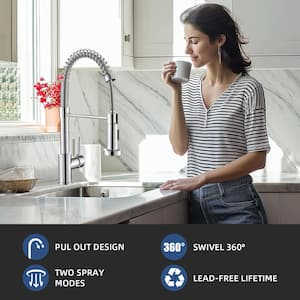 Pause Mode Single Handle Spring Pull Down Sprayer Kitchen Faucet with 2-Function Sprayer Included in Chrome