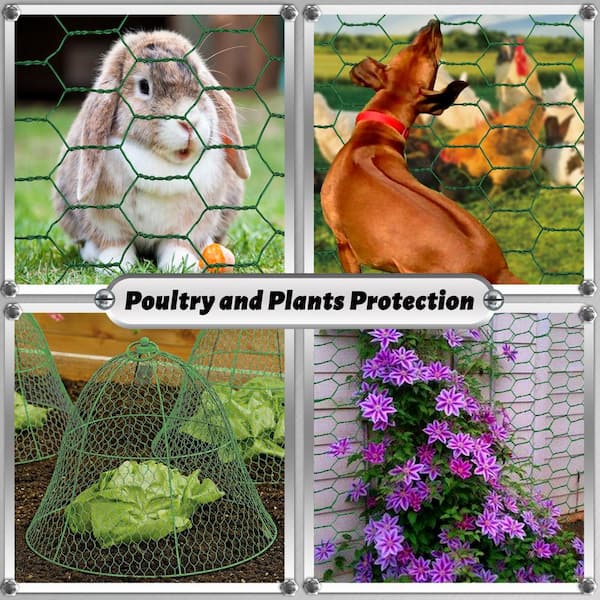 Angel Sar 17 in. x 17 ft. Chicken Wire Fencing Mesh, 0.6 in. Hexagonal Galvanized Hardware Cloth for Coop Barrier Rabbit Cage