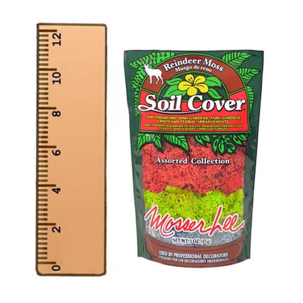 Mosser Lee 250 cu. in. Spanish Moss Soil Cover ML0560 8 - The Home Depot