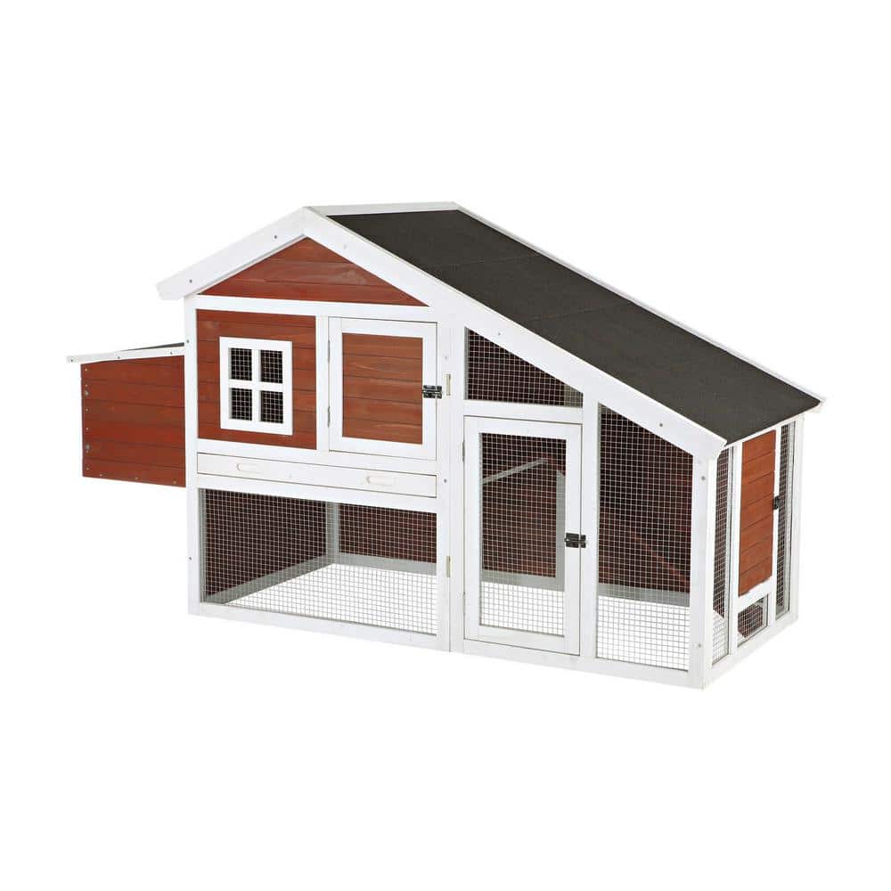 Auburn and White Wooden Chicken Coop with Nesting Boxes