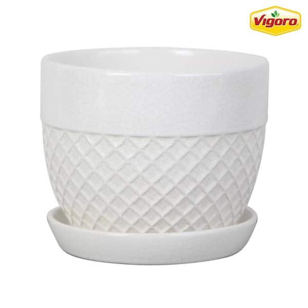 6 in. Delilah Small Glazed White Textured Ceramic Planter (6 in. D x 5 in. H) with Drainage Hole and Attached Saucer