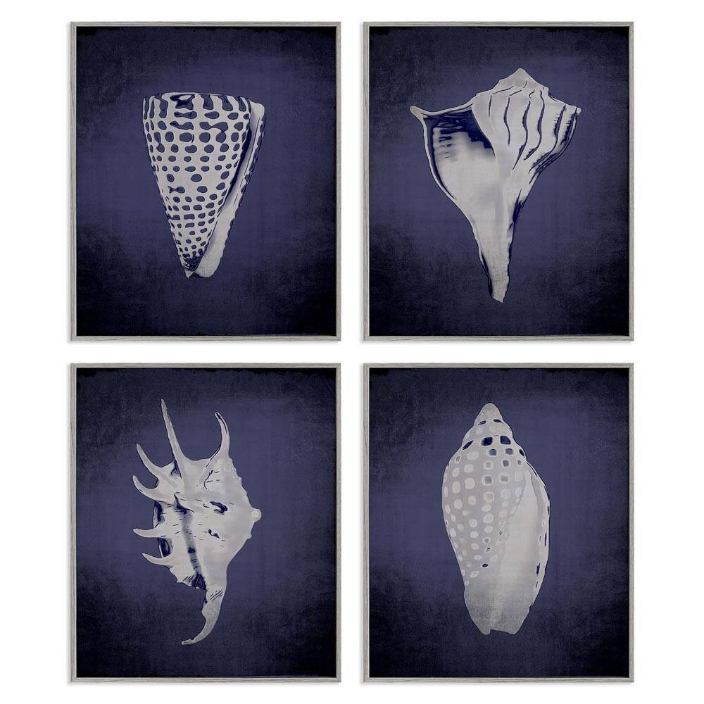 Shells on Indigo Gradient by Graffitee Studios 4-Pieces Gray Framed Coastal Giclee Art Print 14 in. x 11 in. price history on PriceWatchPro