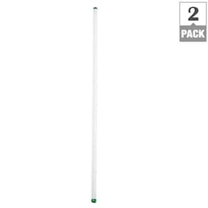32-Watt 4 ft. T8 Alto Linear Fluorescent Tube Light Bulb Natural Light (5000K) (2-Pack)