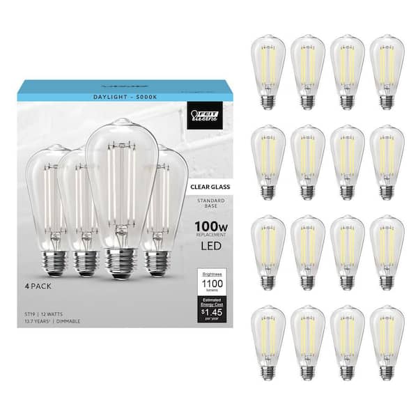 100-Watt Equivalent ST19 Dimmable Straight Filament Clear Glass E26 Vintage Edison LED Light Bulb, Daylight (16-Pack)