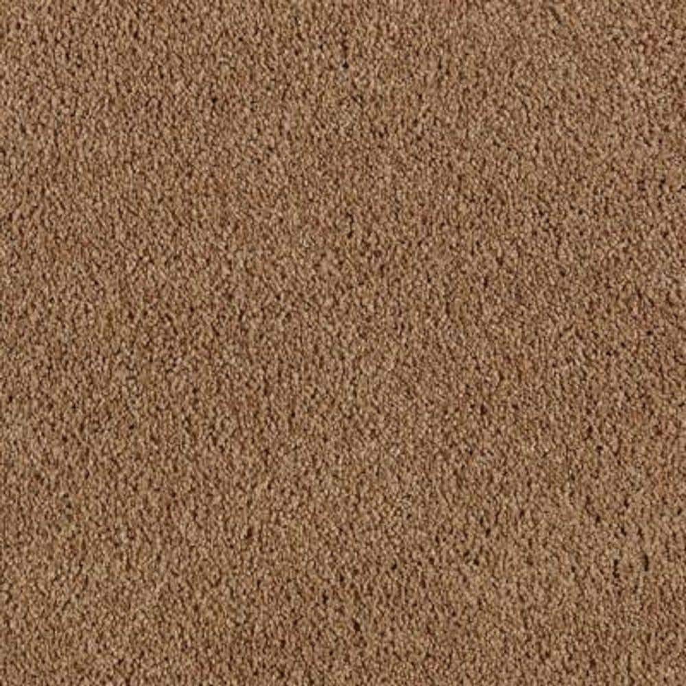 8 in. x 8 in. Texture Carpet Sample - Ambrosina II -Color Winter Leaf price history on PriceWatchPro