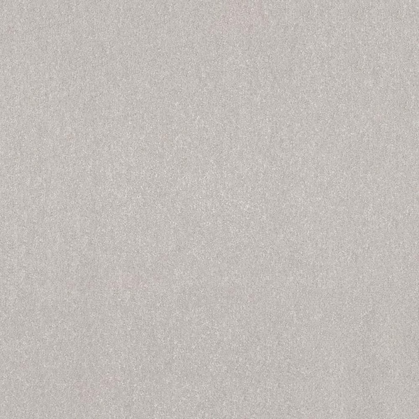 Lifeproof Blakely III - Gypsum-Beige 12 ft. 66 oz. High Performance Polyester Texture Installed Carpet