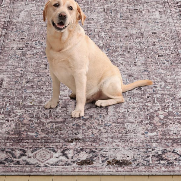 alwayth RUG × ALWAYTH 