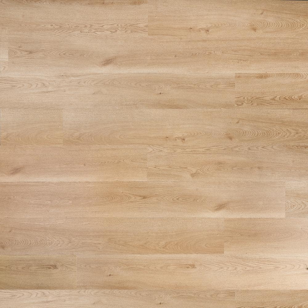 Take Home Sample - Hansen XL Timber 28 mil 9 in. W x 12 in. L Waterproof Rigid Click-Lock Luxury Vinyl Plank Flooring price history on PriceWatchPro