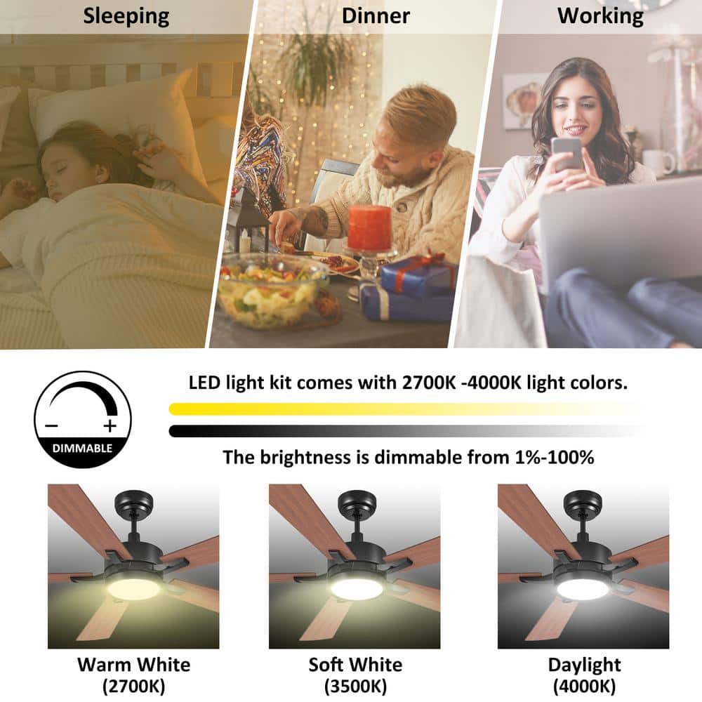 Apex 52'' Black Smart Ceiling Fan with Remote and LED Light