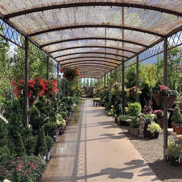 6 ft. H x 16 ft. L Bamboo Cocoa Peeled Reed Fence Panel Decorative Screen Fence for Backyard Garden Fencing Divider