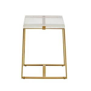 17.5 in. Brass Stainless Steel Glass Top Square End Table