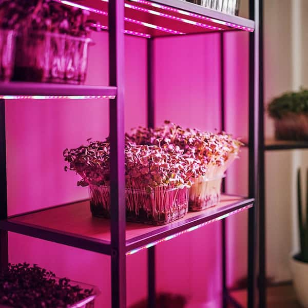 Feit Electric 11-Watt 8 ft. Linkable Indoor and Greenhouse Seeding