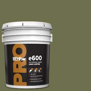 5 gal. #S370-7 Outdoor Oasis Low Luster Exterior Paint