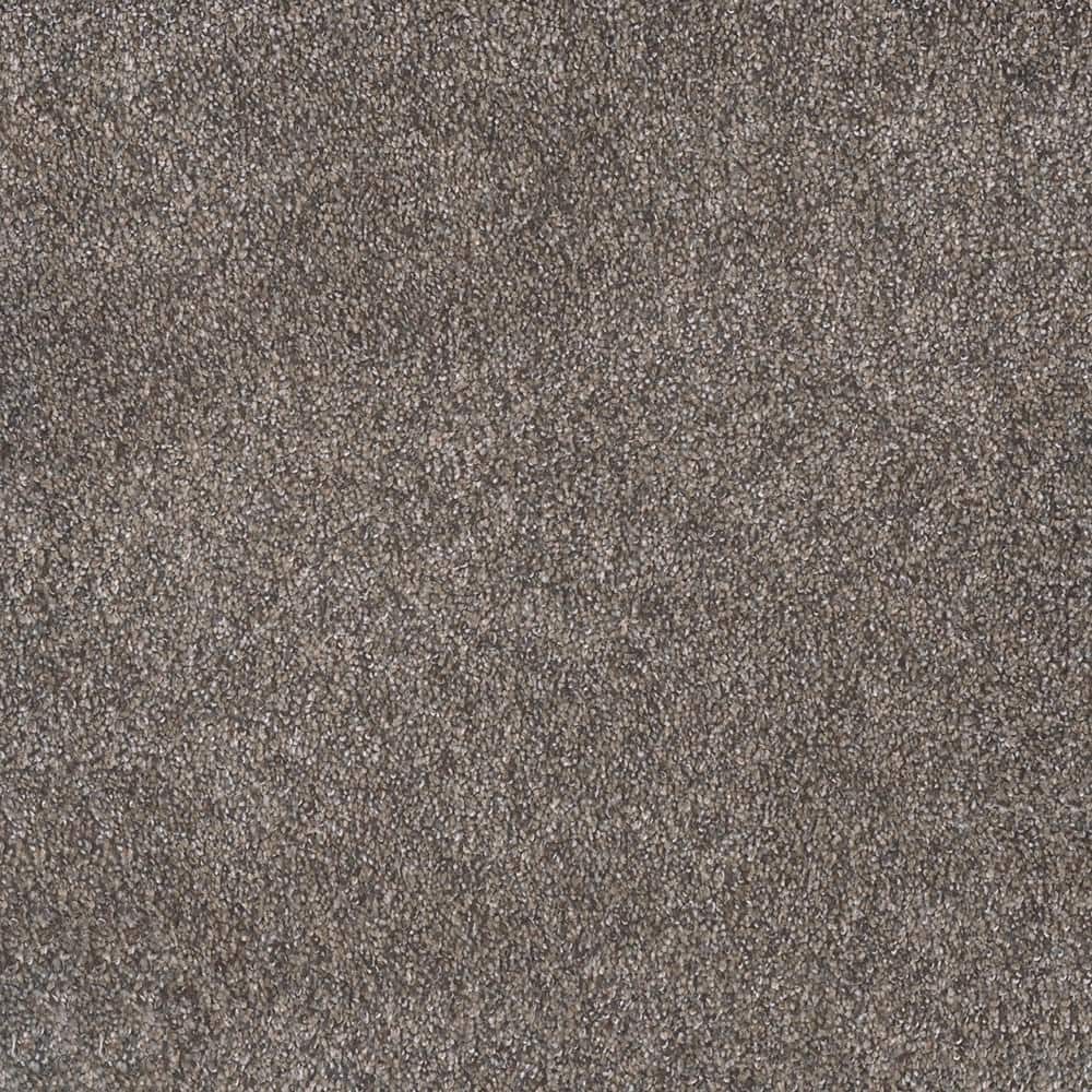 8 in. x 8 in. Texture Carpet Sample - Topaz II  - Color Foxfire price history on PriceWatchPro