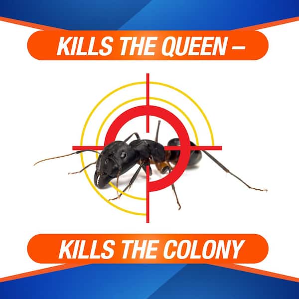 PIC Home Plus Metal Ant Trap with 4 Food Sources and Abamectin