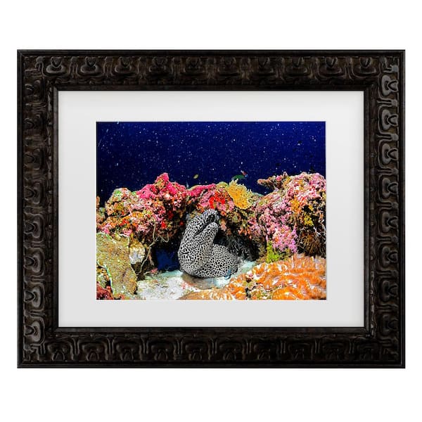 Trademark Fine Art Roberto Marchegiani Under The Star Matted Framed Photography Wall Art 19.5 in. x 23.5 in.