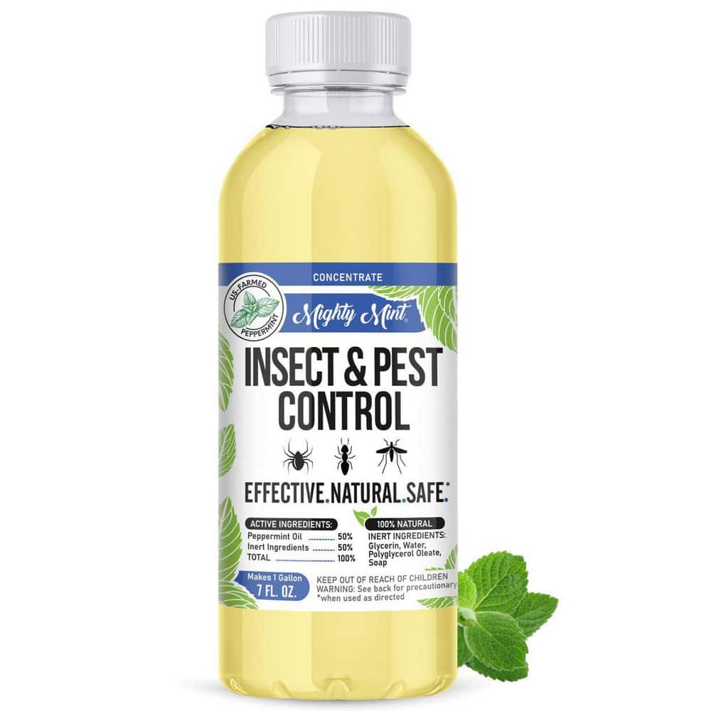 Discounted Bug Juice  The best insecticide paint additive for
