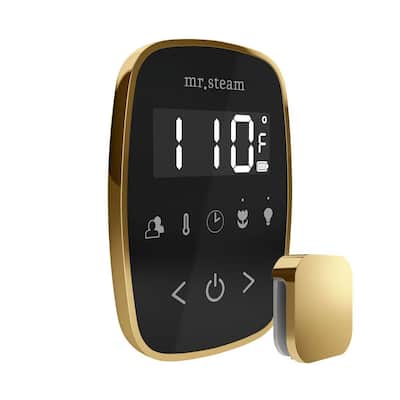 TempoFlex Steam Shower Control and Steamhead in Black Polished Brass