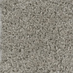 8 in. x  8 in. Texture Carpet Sample - Wonder -Color Marvel
