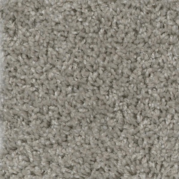 TrafficMaster 8 in. x  8 in. Texture Carpet Sample - Wonder -Color Marvel