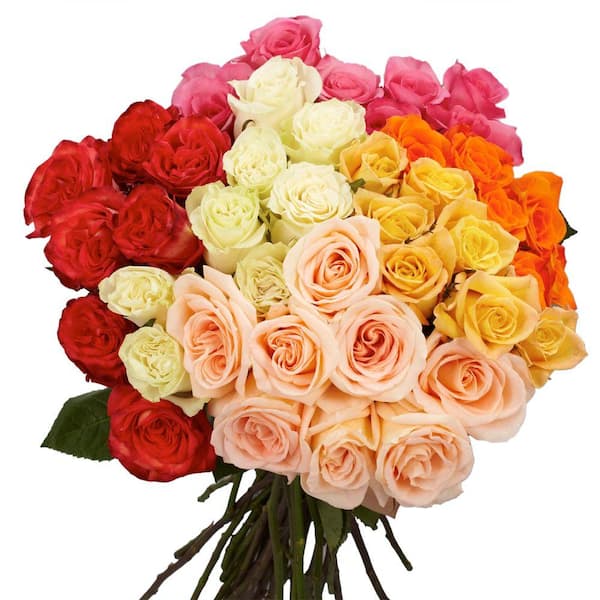 Globalrose Fresh Assorted Color Roses (150 Extra Long Stems) roses ...