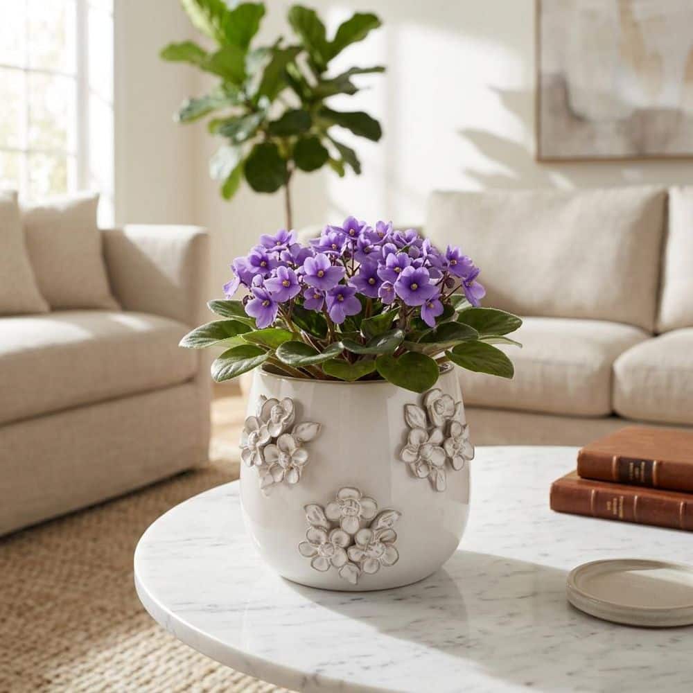 design flower pot 1〜6 植木鉢 まとめ売り Liv & Skye Ivory Ceramic Flower Bunches Applique Planter (6 in. W