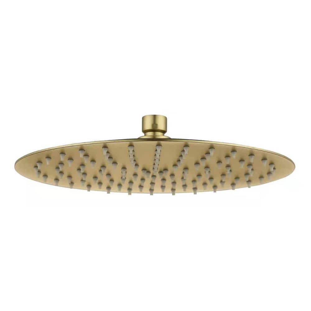 1-Spray Patterns 10 in. Single Ceiling Mount Fixed Shower Head in Brushed G