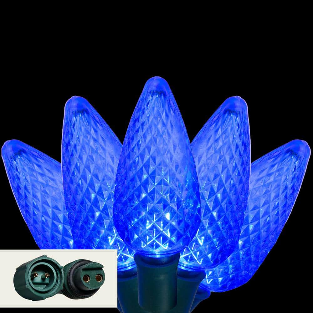 Wintergreen Lighting 24 ft. 25Light LED Blue Commercial C9 String
