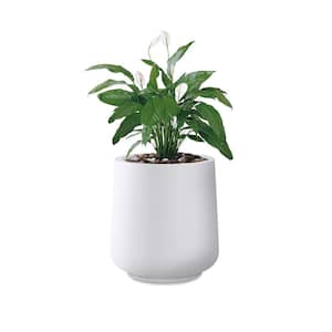 17.3 in. H Round Pure White Concrete Planter, Outdoor Indoor Large Planter Pots Containers with Drainage Holes