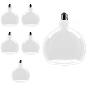 60-Watt Equivalent Round Dimmable Oversized Clear Glass E26 Medium Base LED Light Bulb Soft White 2700K (6-Pack)