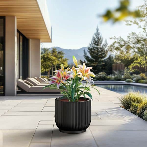 17 in. Large Charcoal Black (Enhanced Interior) Concrete Round Planter / Pot with Drainage Holes