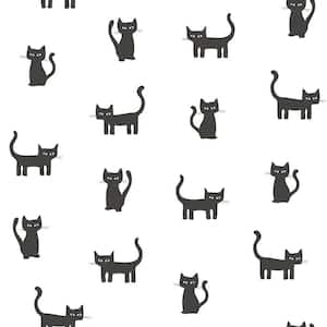Salem Black Kittens Wallpaper Sample