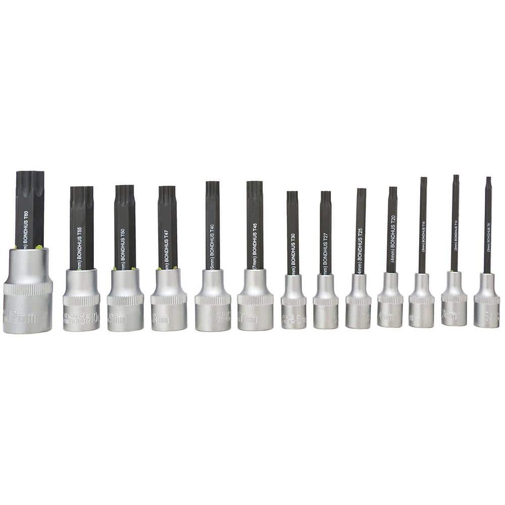 TORX Sockets and Bits Tool Set with ProGuard (13-Piece)