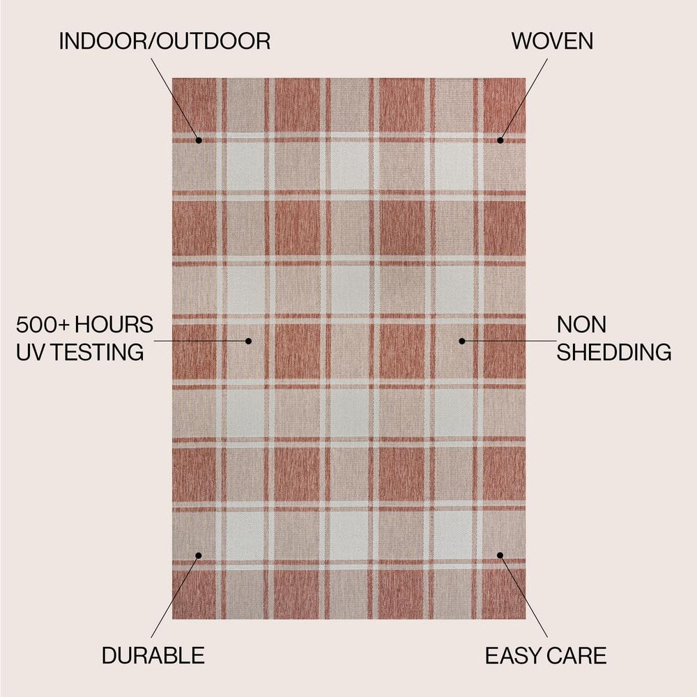 Sabine Salmon and Cream Synthetic 3 x 5 Rectangular Area Rug