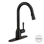 MOEN Adler Single-Handle Pull-Down Sprayer Kitchen Faucet with