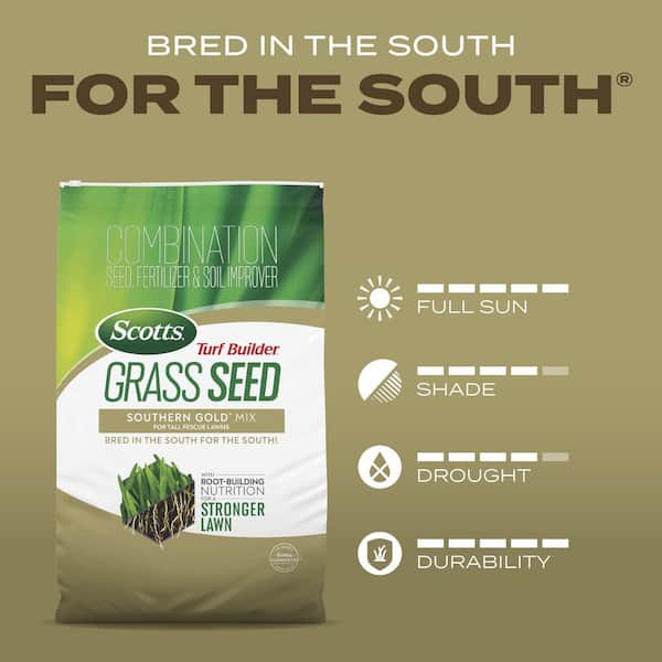 Turf Builder 32 lbs. Grass Seed Southern Gold Mix for Tall Fescue Lawns with Fertilizer and Soil Improver