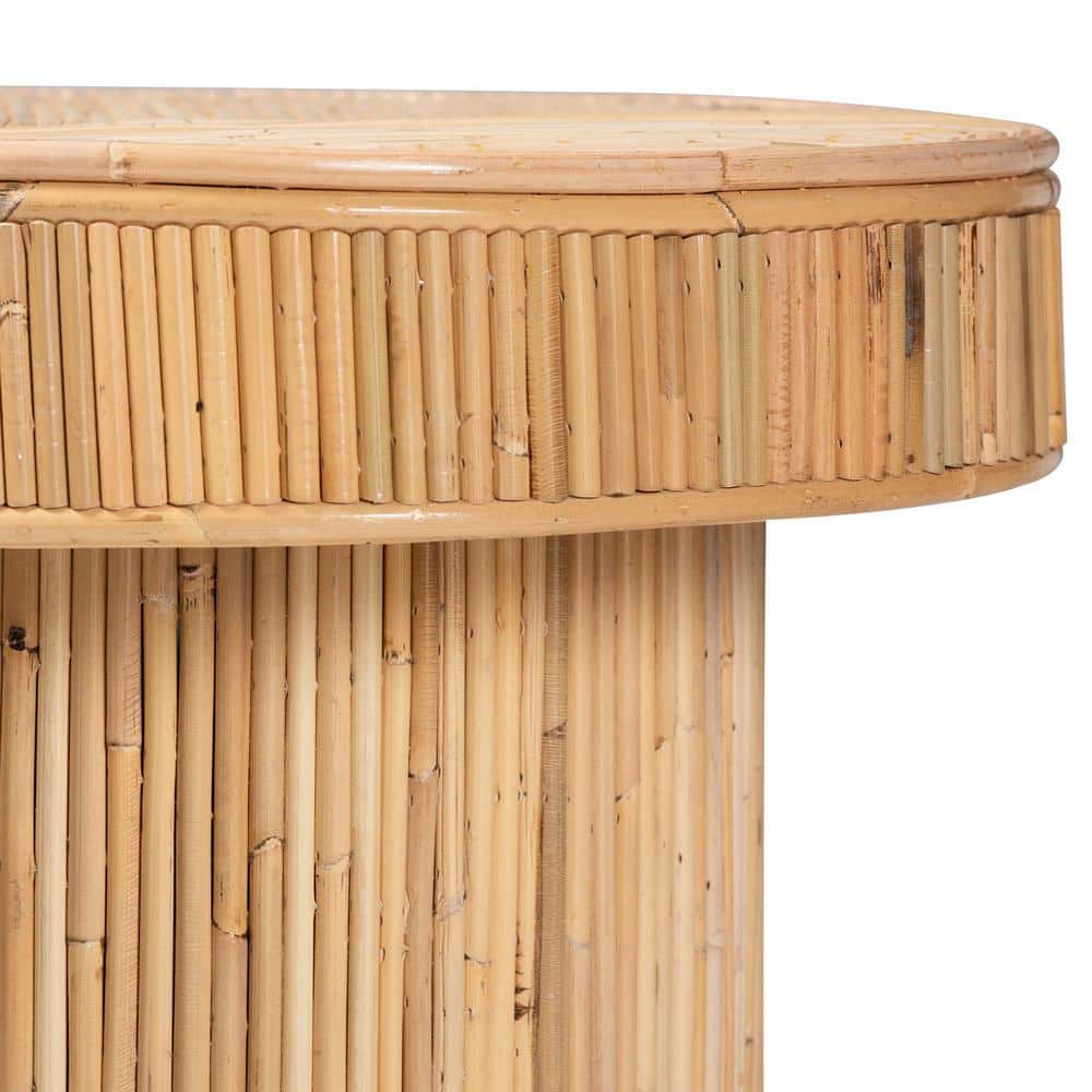 Iryna Natural Rattan and Wood Bohemian Console Table