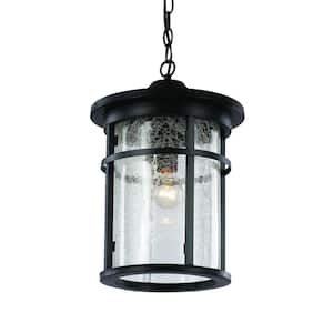 Avalon 11 in. 1-Light Black Hanging Outdoor Pendant Light Fixture with Clear Crackled Glass