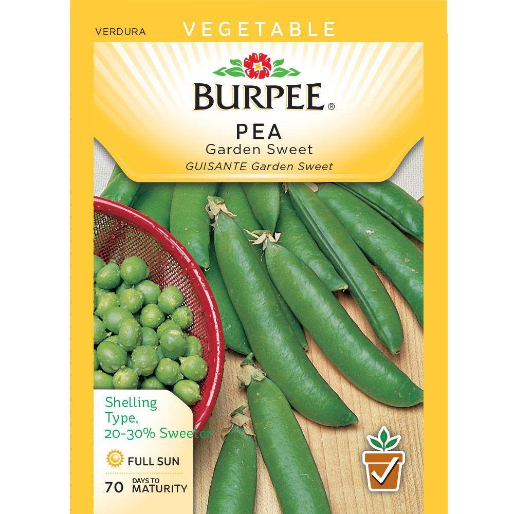 Burpee Pea Garden Sweet Seed 66762 - The Home Depot