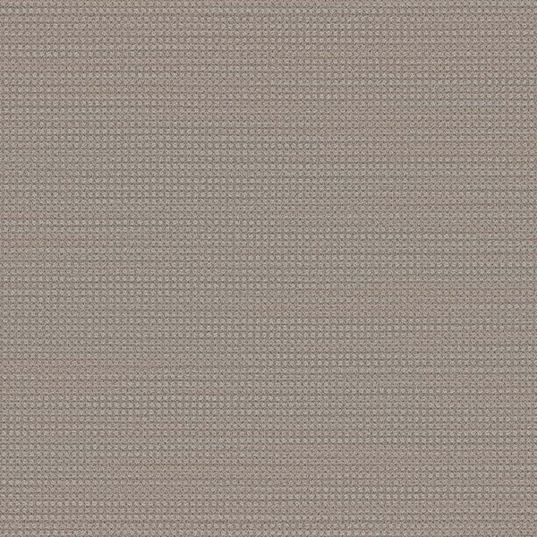 Lifeproof Thornbrook - Barton - Beige 45 oz. TwistX SD PET Loop Installed Carpet