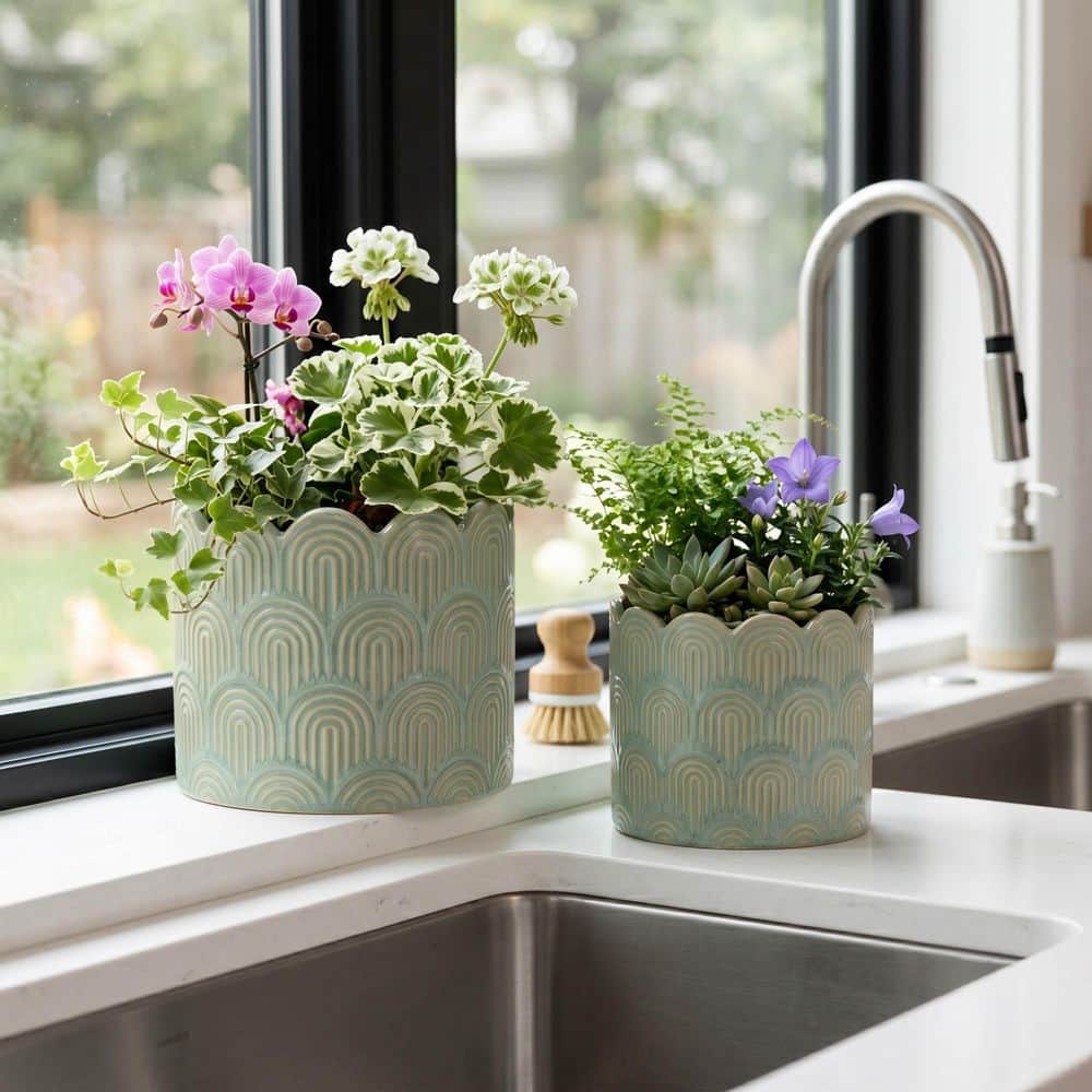 matte-green-liv-skye-plant-