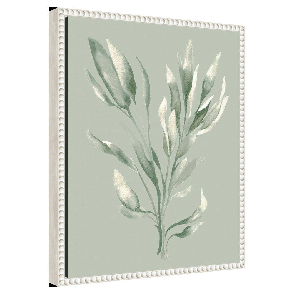 Tonal Green Ferns Canvas Art with Beaded White Frame