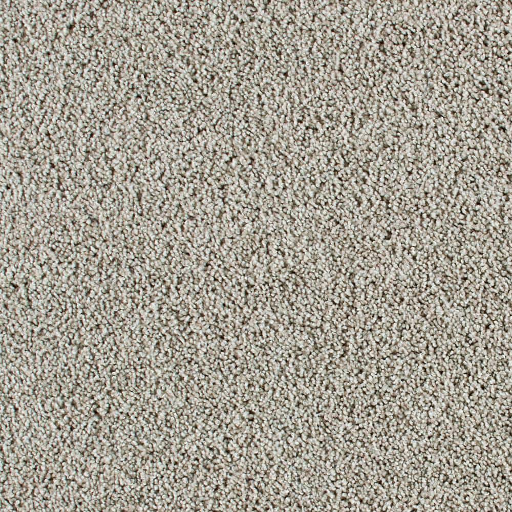 8 in. x 8 in. Texture Carpet Sample - Huntcliff II -Color Shining Armor price history on PriceWatchPro