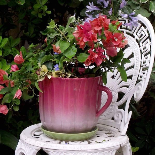 Evergreen Floral Pink Ceramic Tea Cup Indoor/Outdoor Planter with