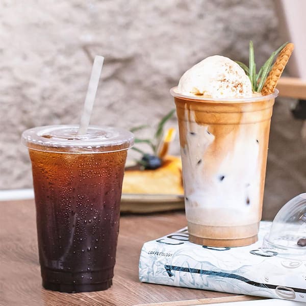 Wudkey 20 oz. Clear Plastic Disposable Iced Coffee Cups with Lids and Straws for Coffee Bar Accessories (Set of 100)