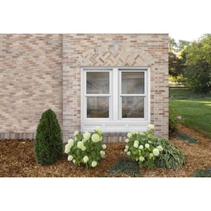 37.375 in. x 48 in. W-2500 Series Black Painted Clad Wood Double Hung Window w/ Natural Interior and Screen